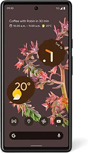 Google Pixel 6 5G - Smartphone 128GB, 8GB RAM, Single Sim de Google en Inalámbrico